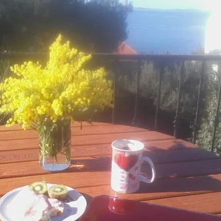 Sanja プリモシュテン